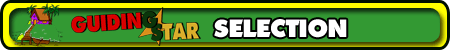 SELECTION